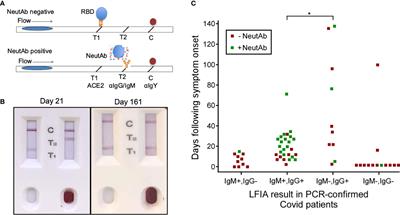 Pan-neutralizing, germline-encoded antibodies against SARS-CoV-2: Addressing the long-term problem of escape variants